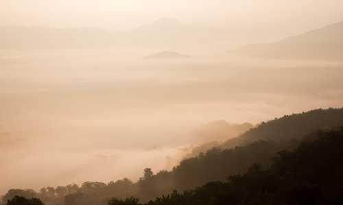 AI Content Generator